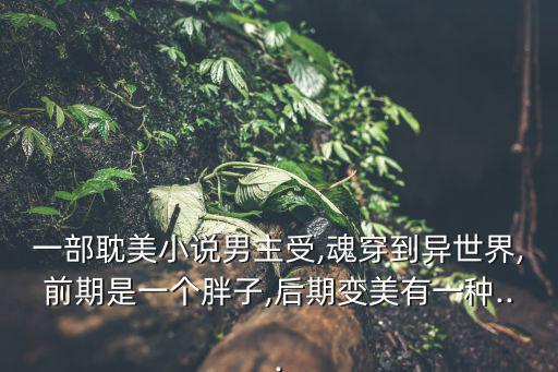 一部耽美小說男主受,魂穿到異世界,前期是一個胖子,后期變美有一種...