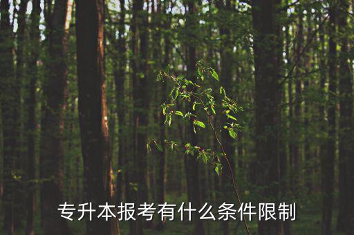 專升本報考有什么條件限制