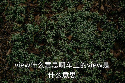 view是什么意思,車上view是什么意思?