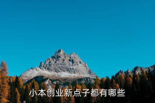 創(chuàng)業(yè)新點(diǎn)子,創(chuàng)新創(chuàng)業(yè)項(xiàng)目點(diǎn)子有哪些?