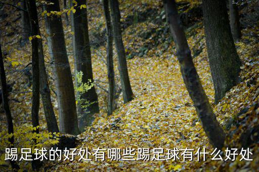 踢足球的好處有哪些踢足球有什么好處