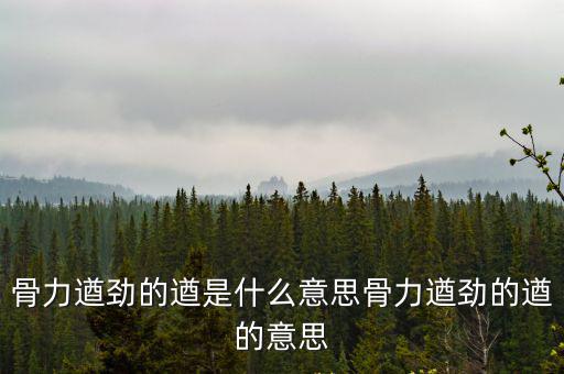 骨力遒勁的遒是什么意思骨力遒勁的遒的意思