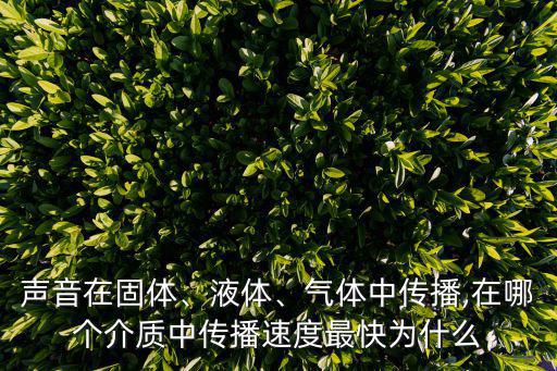 中快,英語句子中的主謂賓位置怎么確定?