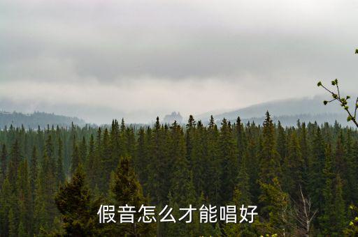 假音怎么才能唱好