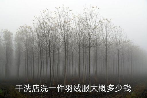羽絨服干洗多少錢,羽絨服怎么洗?三大注意事項(xiàng)!