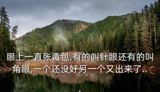 眼上一直張毒包,有的叫針眼還有的叫角眼,一個還沒好另一個又出來了...