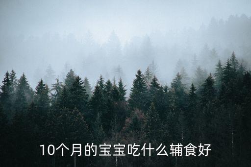 10個月的寶寶吃什么輔食好