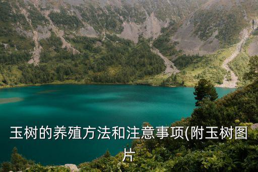 玉樹,玉樹的景區有哪些?