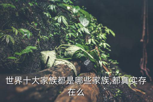 福特家族,福特股票全部出售實際擁有股權比例只有6%