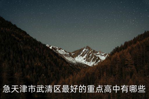 急天津市武清區最好的重點高中有哪些