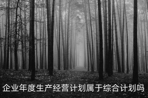 企業(yè)年度生產(chǎn)經(jīng)營(yíng)計(jì)劃屬于綜合計(jì)劃嗎