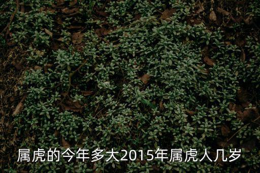 屬虎的今年多大2015年屬虎人幾歲