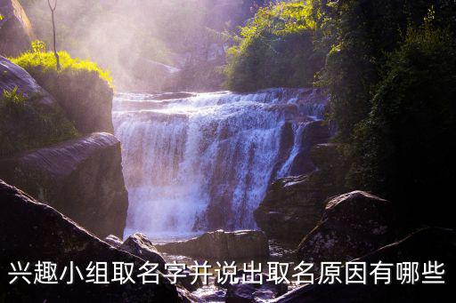 興趣小組取名字并說出取名原因有哪些