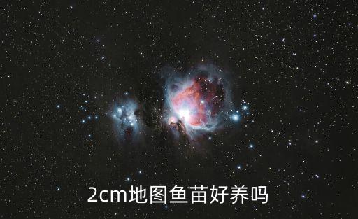 地圖魚好養嗎,圖文看懂!家里養殖什么魚比較好?