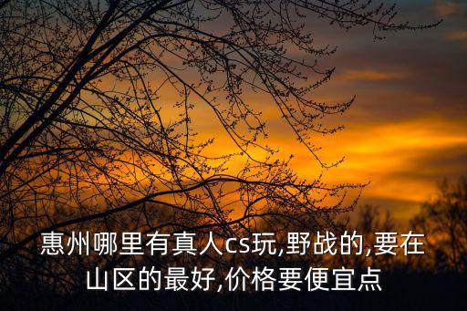 cs野戰,深圳野戰中的標準軍事戰術訓練場