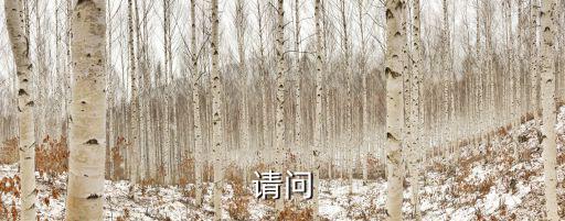 請問