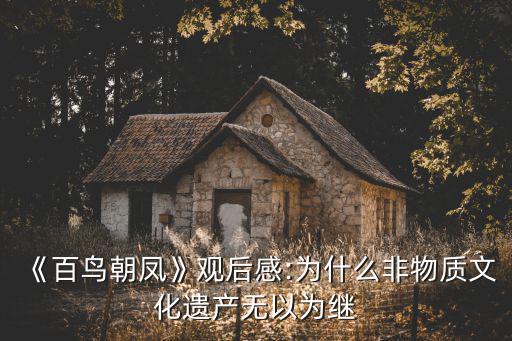 《百鳥朝鳳》觀后感:為什么非物質文化遺產無以為繼