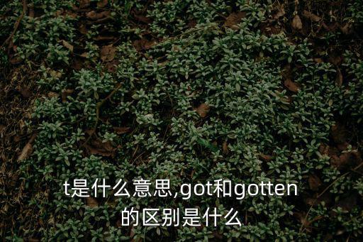 got是什么意思,got和gotten的區(qū)別是什么?