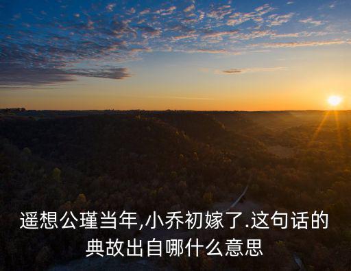 遙想公瑾當(dāng)年,一尊還江月遙想公瑾當(dāng)年典故出處