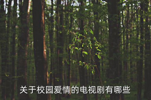 愛情校園,關于校園愛情的電視劇有哪些?