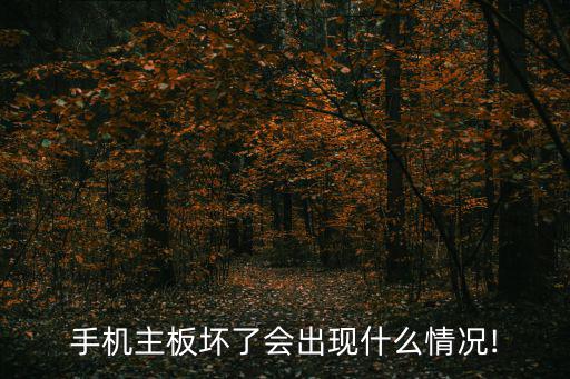 手機(jī)主板壞了會(huì)出現(xiàn)什么情況!