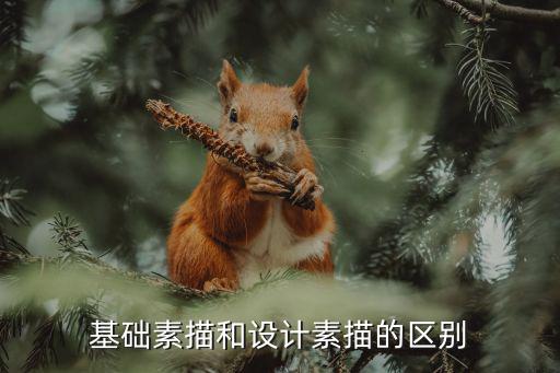 基礎(chǔ)素描和設(shè)計(jì)素描的區(qū)別