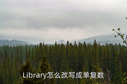 library的復數,library怎么讀?