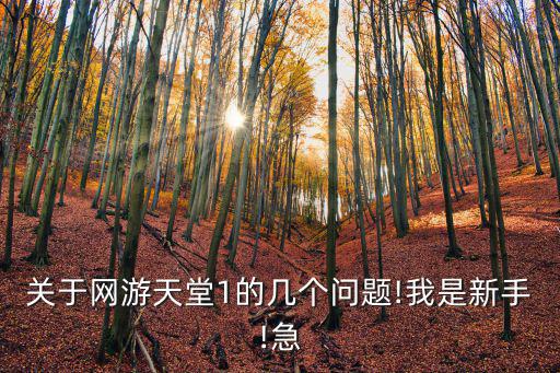 天堂一,游戲天堂1精靈盾牌怎么出來的?