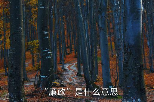 廉潔廉政,第五集:廉政與選舉結(jié)果不符