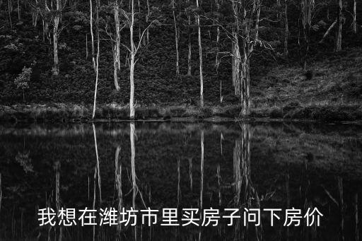 我想在濰坊市里買房子問下房價