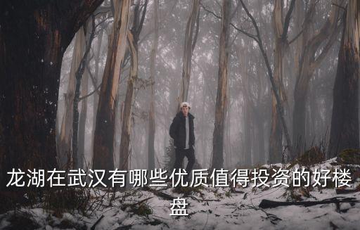 龍湖在武漢有哪些優質值得投資的好樓盤
