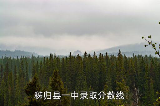 長(zhǎng)陽(yáng)一中,湖北宜昌市外國(guó)語(yǔ)學(xué)校（12中）升學(xué)率和學(xué)風(fēng)一流
