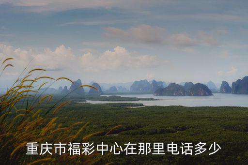 重慶市福彩中心在那里電話多少