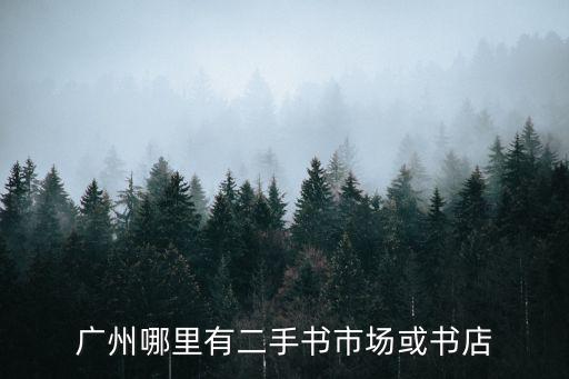 廣州哪里有二手書市場或書店