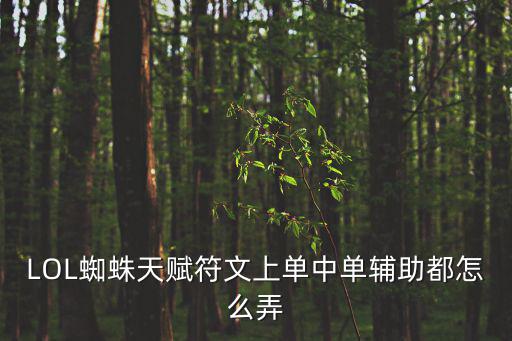 蜘蛛符文,怎么弄到蜘蛛回頭符文?