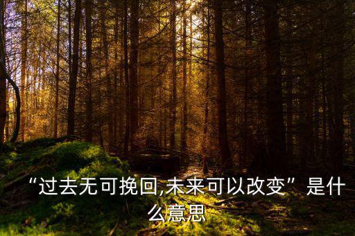 無可挽回,過去無可挽回,未來可以改變是什么意思?