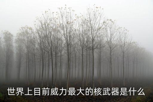 世界上目前威力最大的核武器是什么
