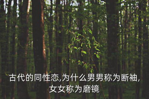 古代同性戀,斷袖成男同性戀代名詞?