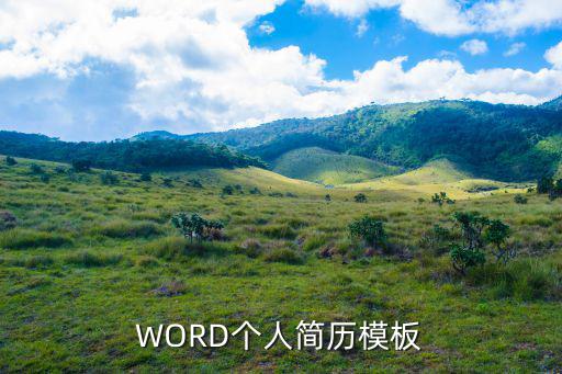 簡歷模板word，如何使用office2003word中的簡歷模版
