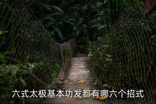 太極招式,這些東西要學(xué)!