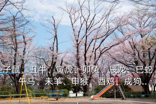 午馬未羊,屬相午馬占據(jù)十二地支的領(lǐng)跑者