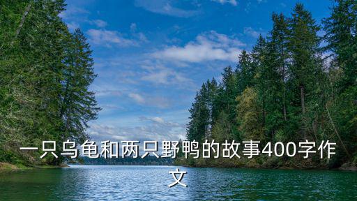 一只烏龜和兩只野鴨的故事400字作文