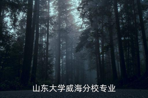 山東大學威海分校專業