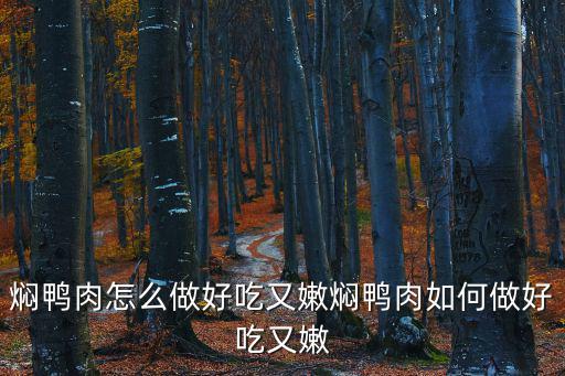 燜鴨肉,燜鴨肉怎么做好吃又嫩?