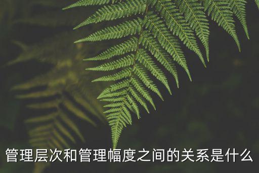 管理層次和管理幅度之間的關(guān)系是什么