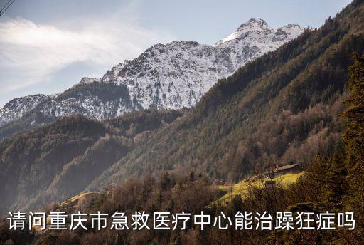 重慶市急診醫療中心，重慶市急救醫療中心PRK中心是不是兩路口那個