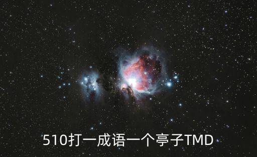 510打一成語,回顧（18）:投票日的結(jié)果
