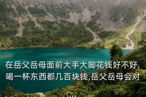 在岳父岳母面前大手大腳花錢好不好,喝一杯東西都幾百塊錢,岳父岳母會對...