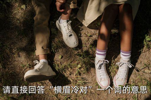 請直接回答“橫眉冷對”一個詞的意思
