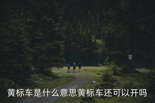 黃標,廢棄的黃標車有何意義?